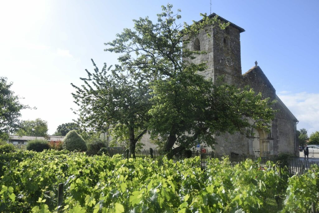 Saint Aubin de médoc