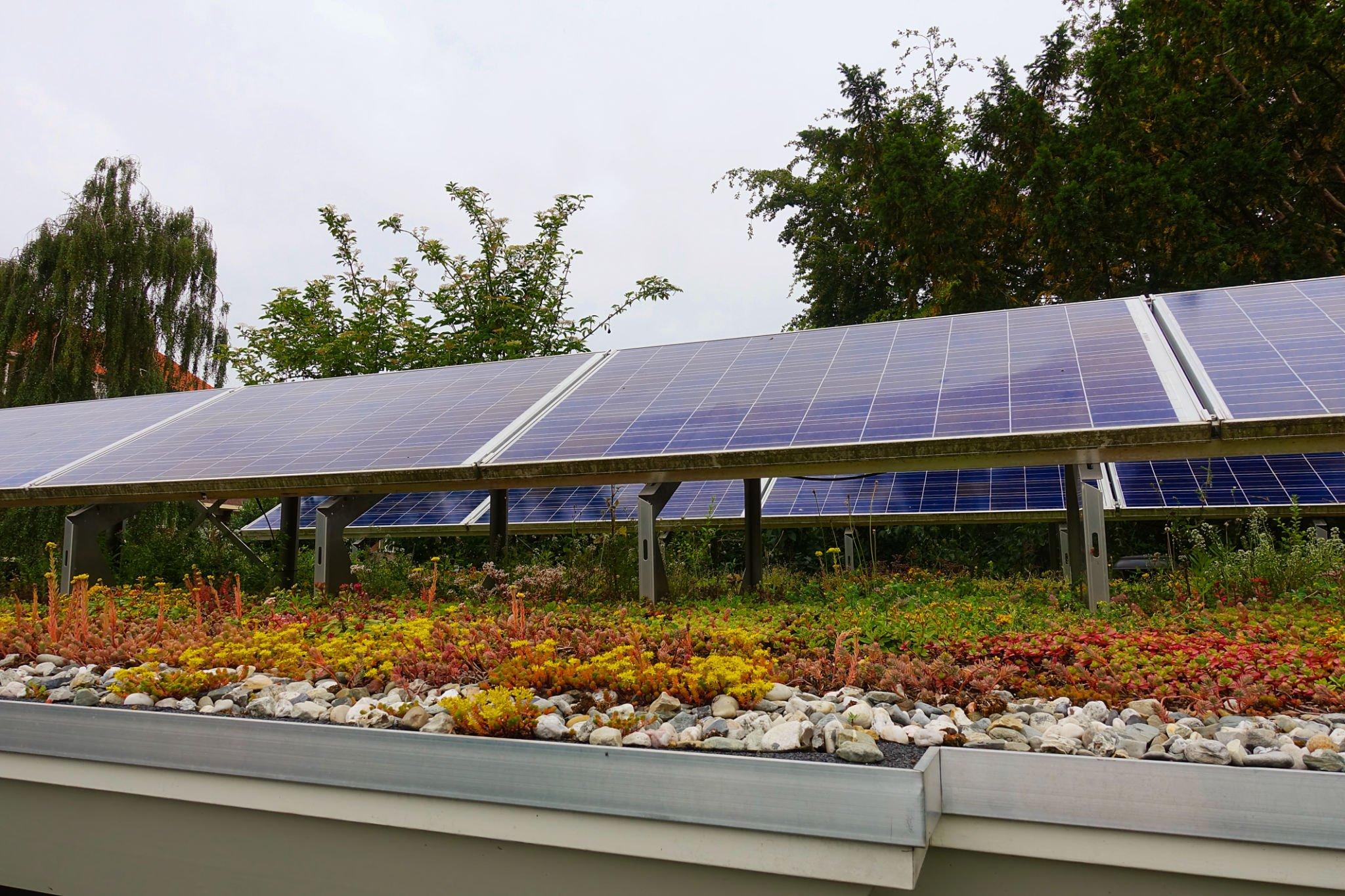 Installation photovoltaïque pour jardinerie avec Coegy